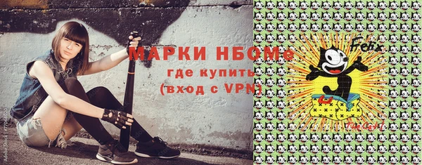 гидра Богородск