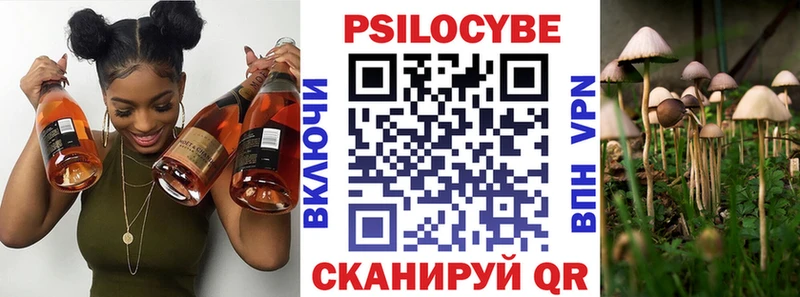 Галлюциногенные грибы Magic Shrooms  где купить наркотик  Волоколамск 
